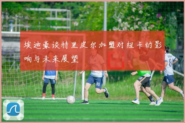 埃迪豪谈特里皮尔加盟对纽卡的影响与未来展望