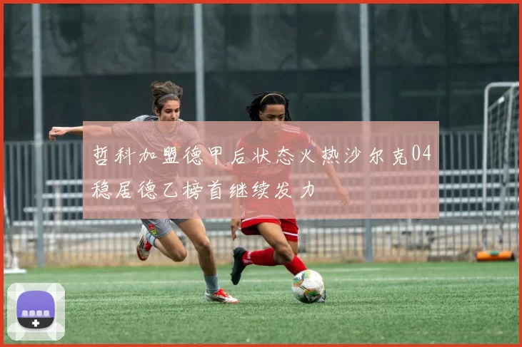 哲科加盟德甲后状态火热沙尔克04稳居德乙榜首继续发力